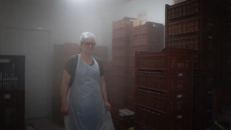 Préparation du lait pour les yaourts