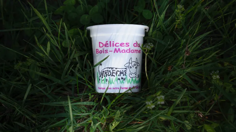 Yaourts aromatisés — 10 arômes disponibles